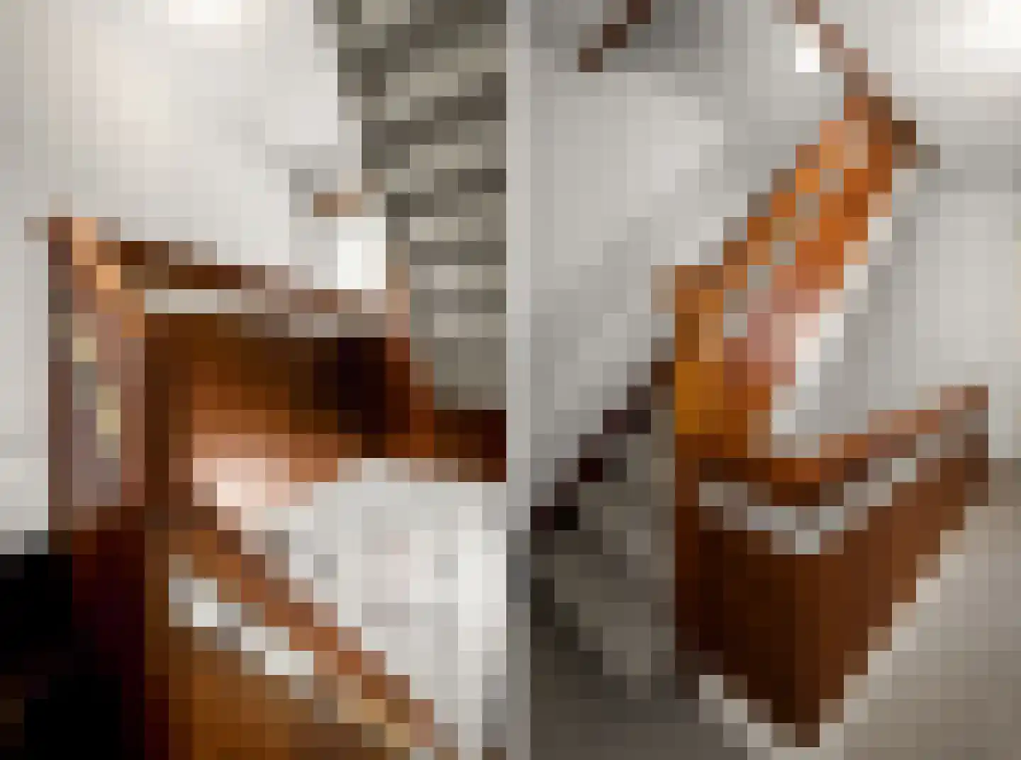 Marktstraat 2 Echt thumbnail 21