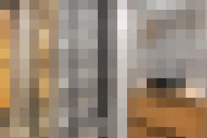 Marktstraat 2 k Dedemsvaart thumbnail 10