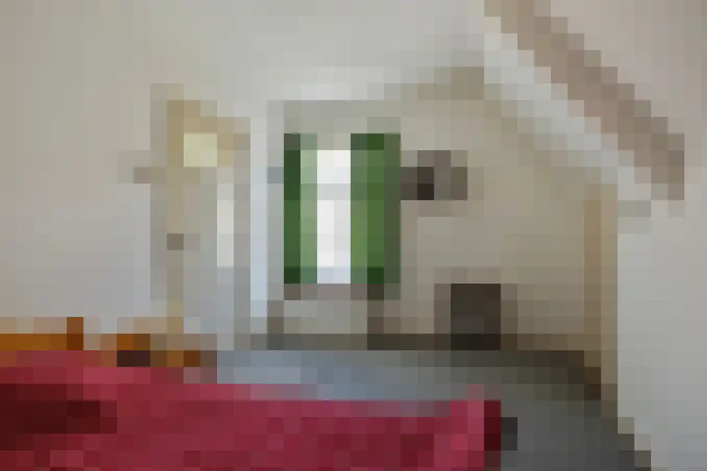 Marktstraat 21 Borne thumbnail 18