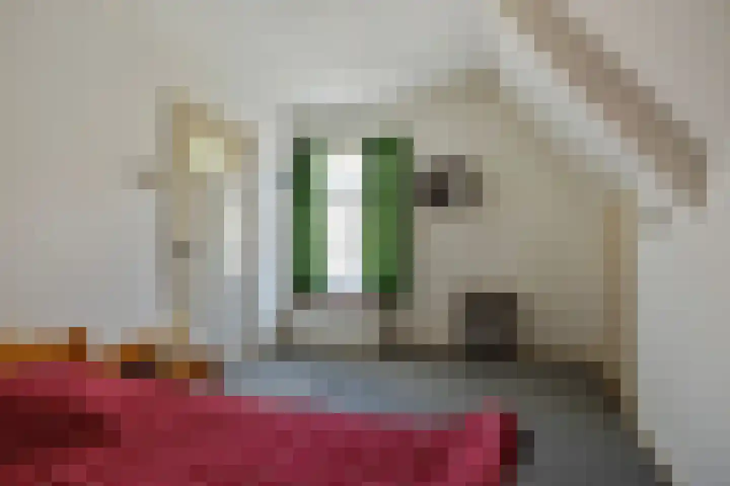 Marktstraat 21 Borne thumbnail 20