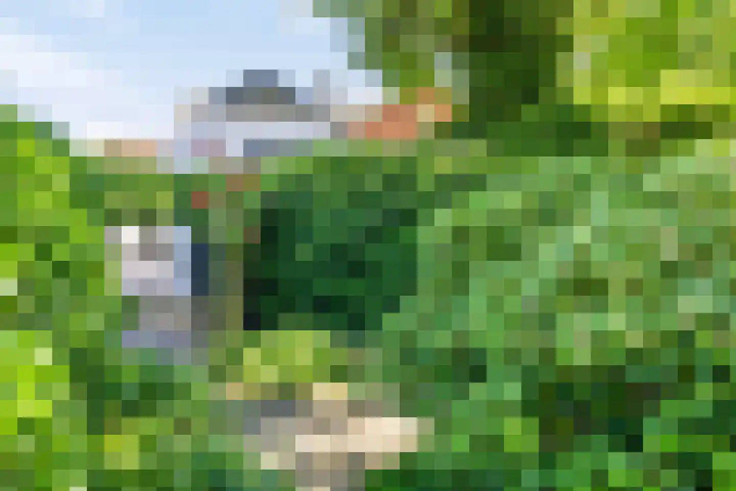 Marktstraat 21 Borne thumbnail 22