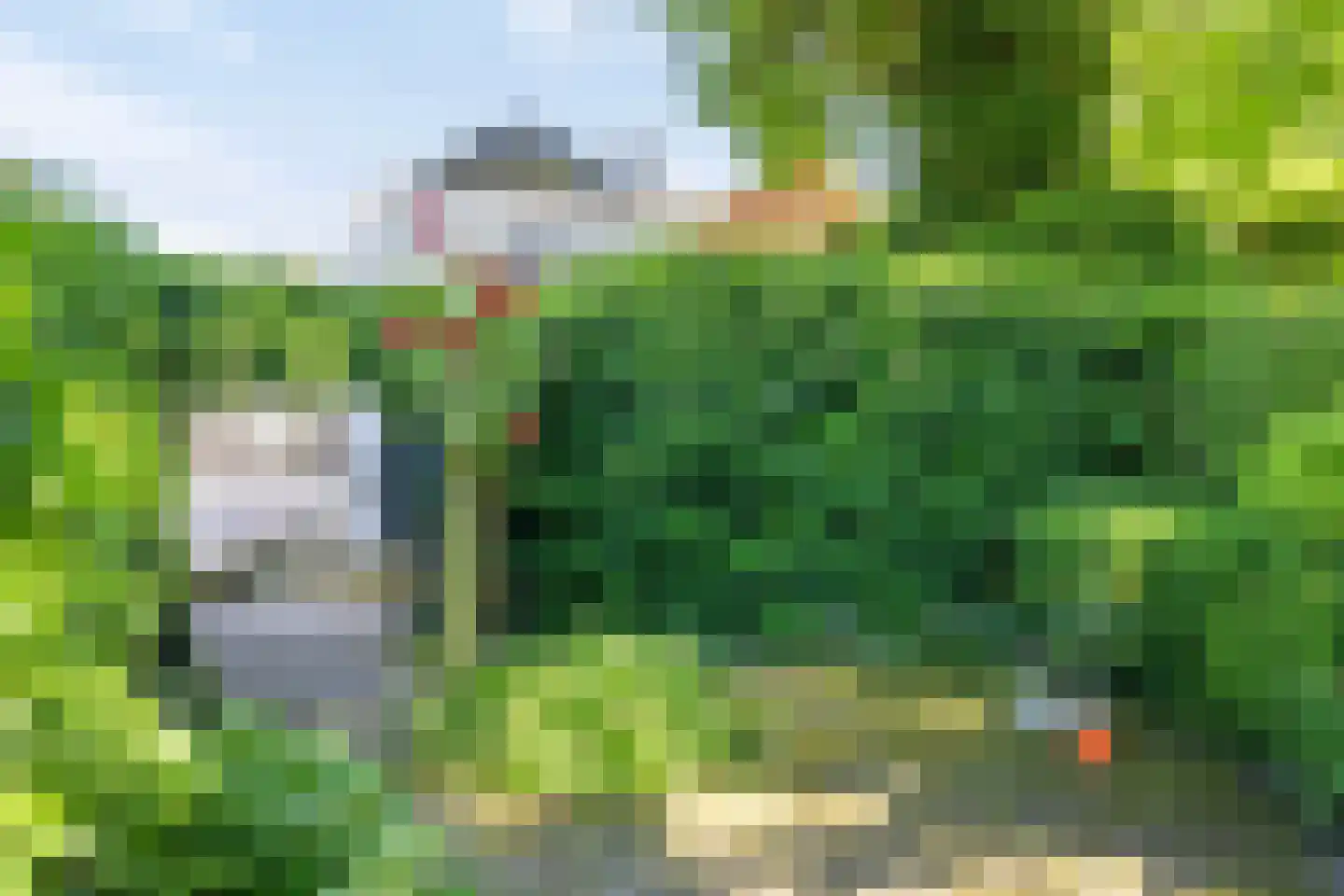 Marktstraat 21 Borne thumbnail 23