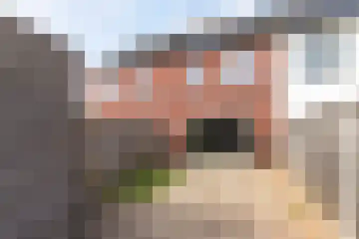 Marktstraat 22 Meppel thumbnail 13