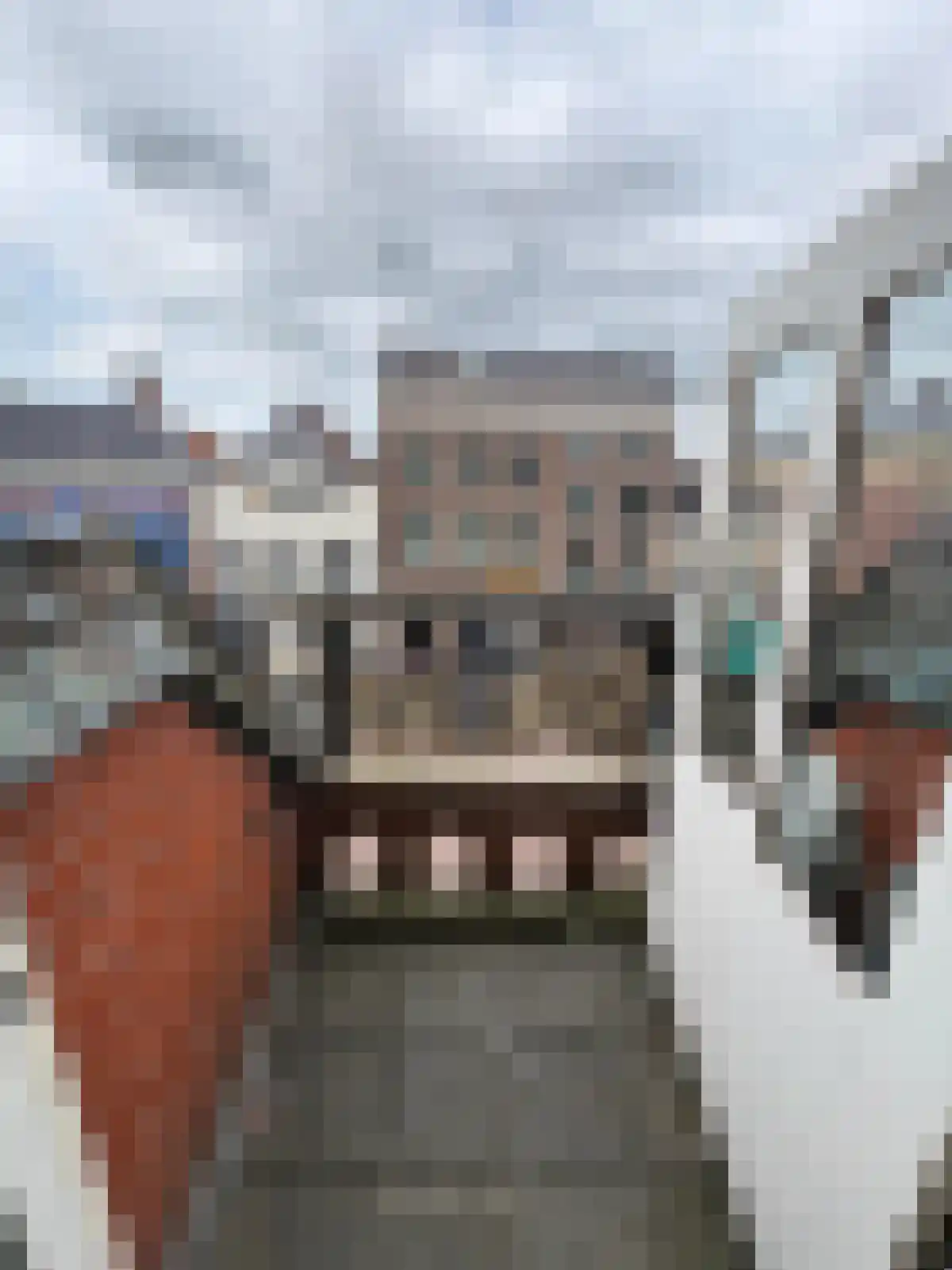 Marktstraat 22 Sneek thumbnail 5