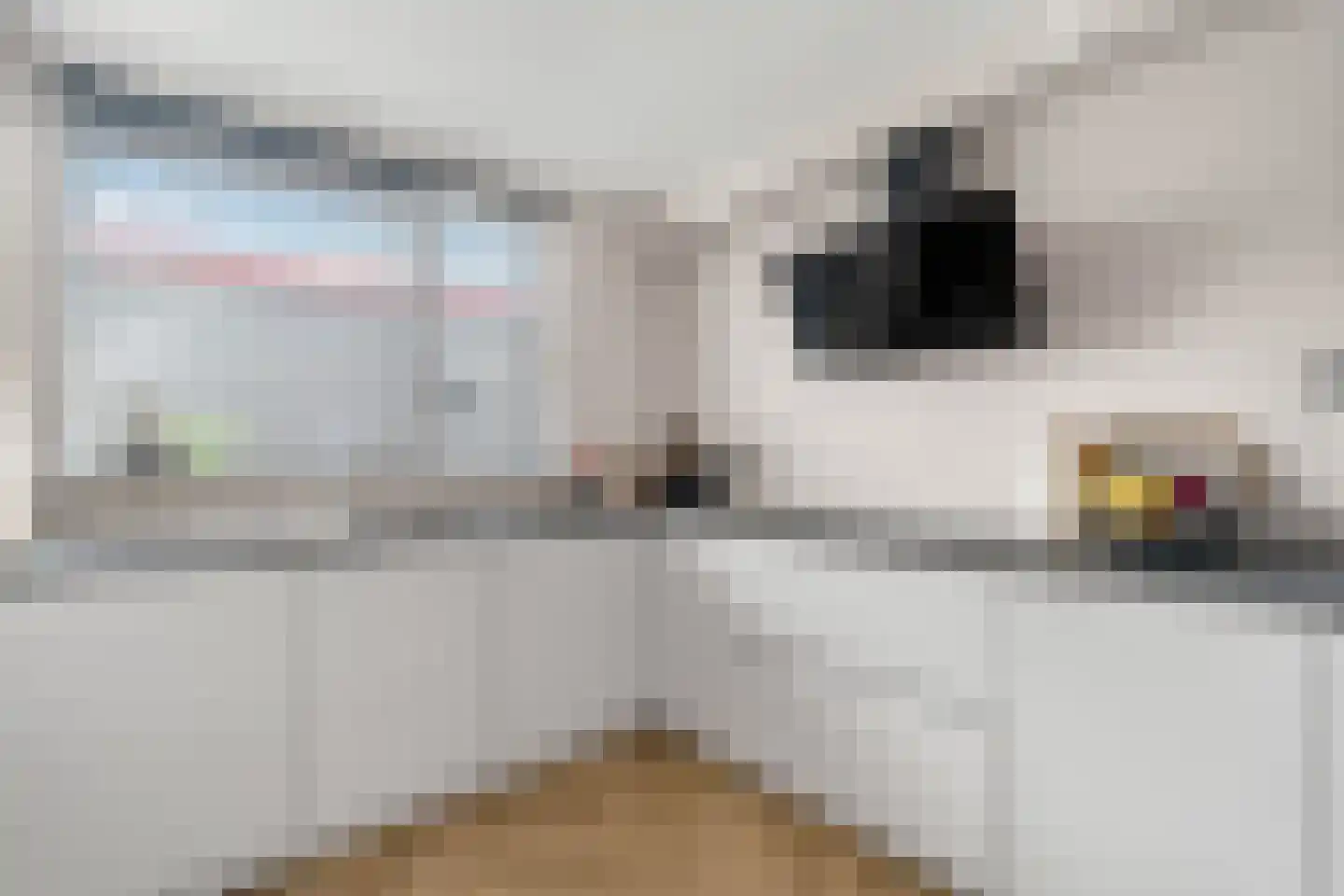 Marktstraat 33 Dedemsvaart thumbnail 12
