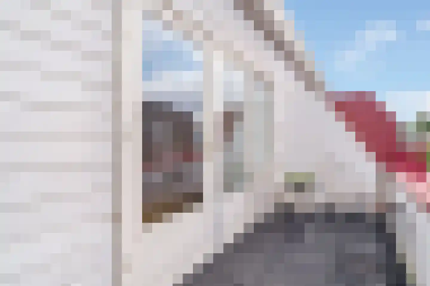 Marktstraat 33 Dedemsvaart thumbnail 18