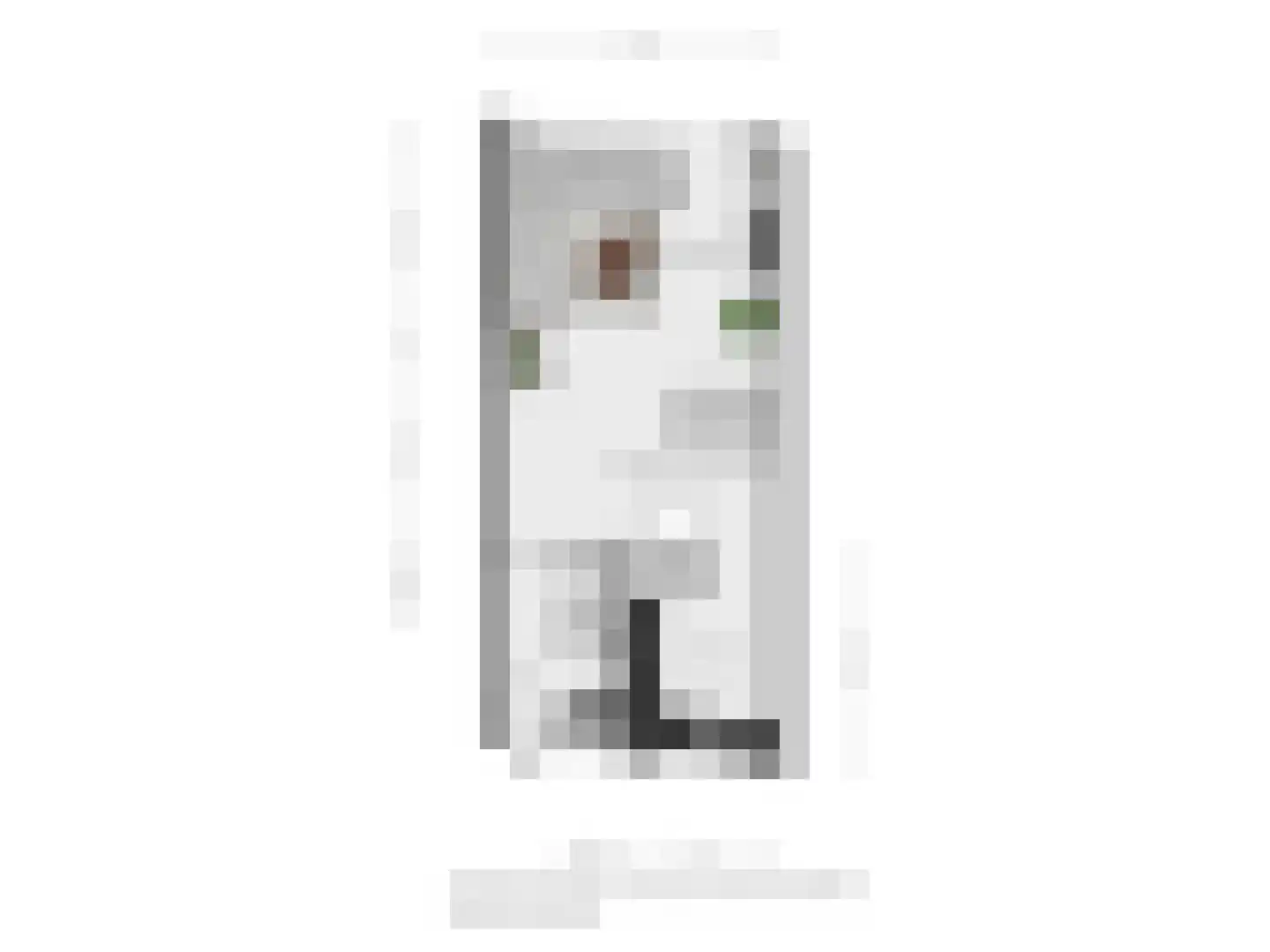 Marktstraat 33 Dedemsvaart thumbnail 25