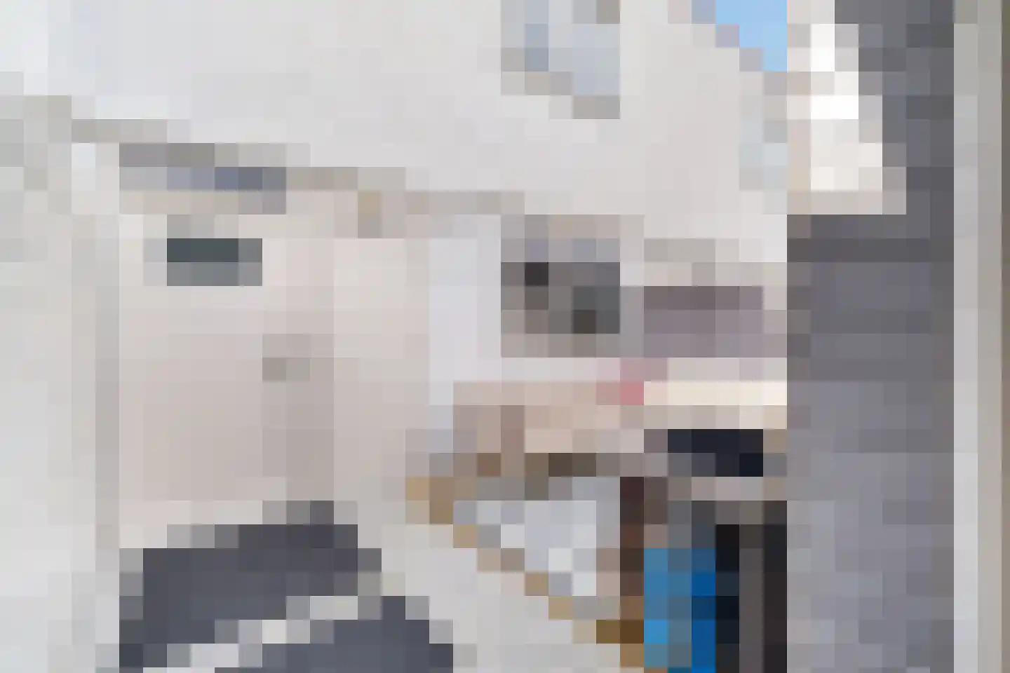 Marktstraat 33 Dedemsvaart thumbnail 4