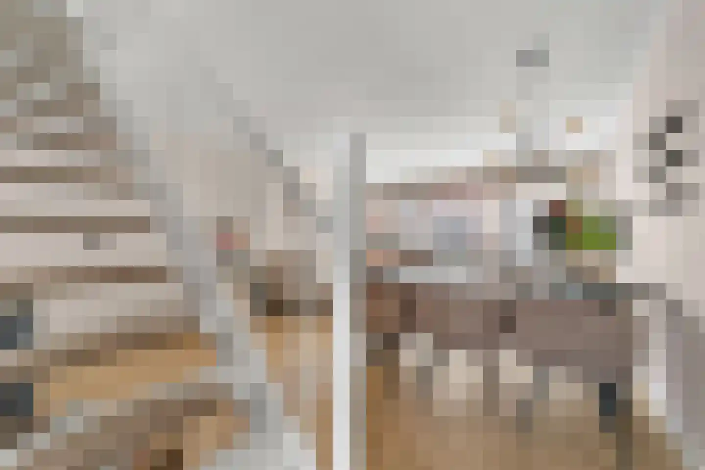 Marktstraat 33 Dedemsvaart thumbnail 6