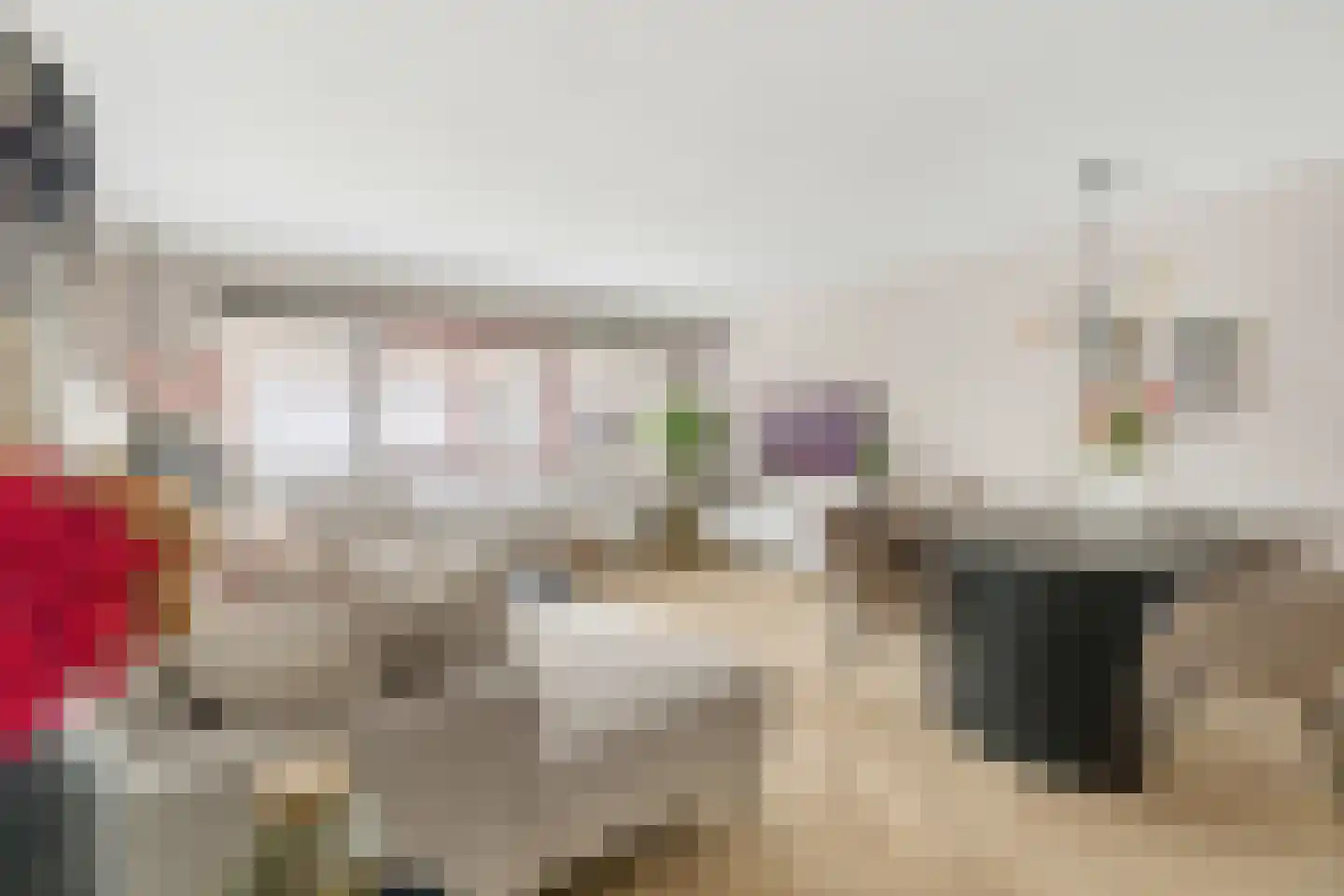 Marktstraat 33 Dedemsvaart thumbnail 8