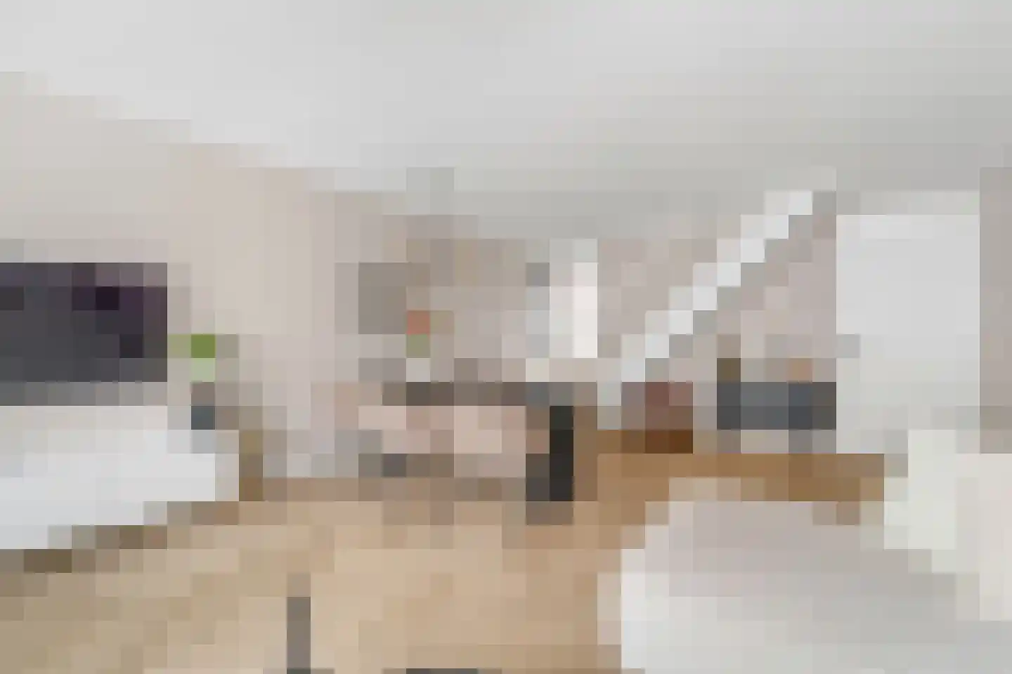 Marktstraat 33 Dedemsvaart thumbnail 9
