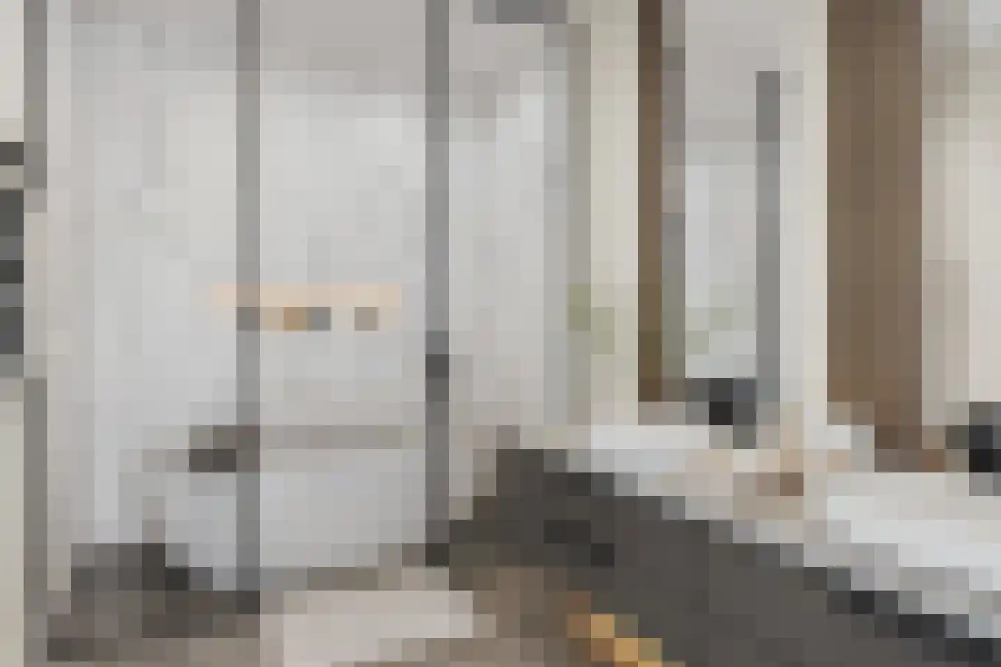 Marktstraat 34 Scherpenzeel thumbnail 20