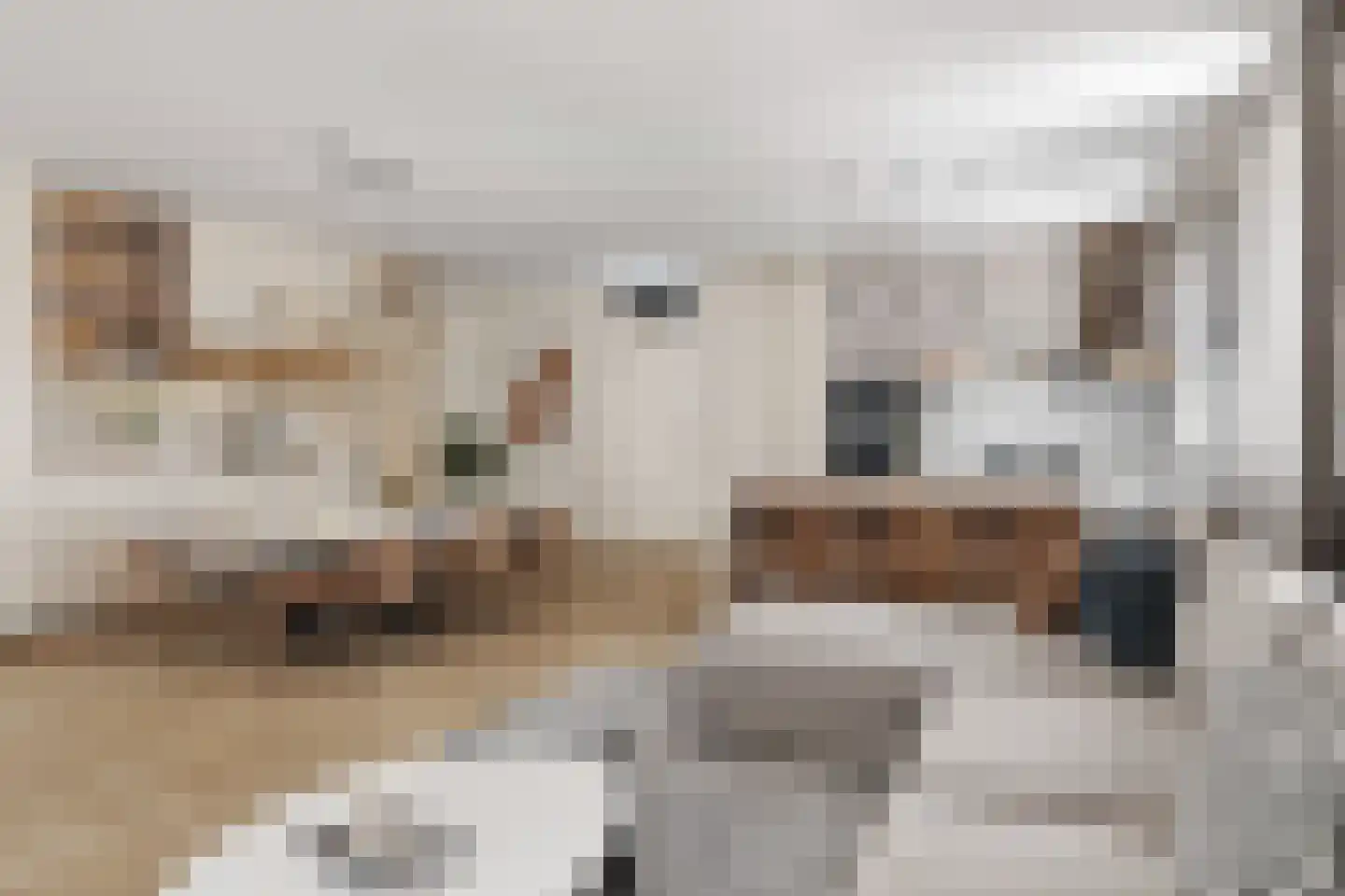 Marktstraat 34 Scherpenzeel thumbnail 4