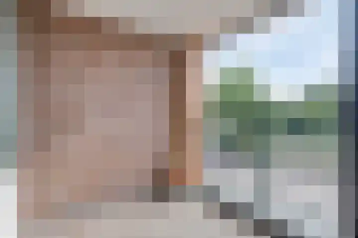 Marktstraat 36 Heino thumbnail 31