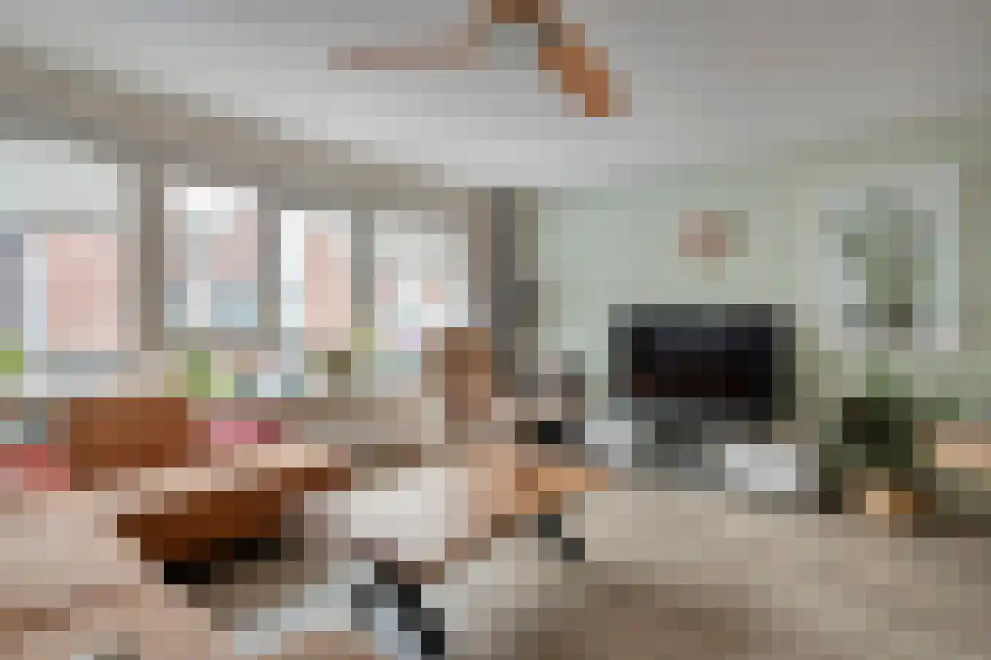 Marktstraat 39 Dedemsvaart thumbnail 9
