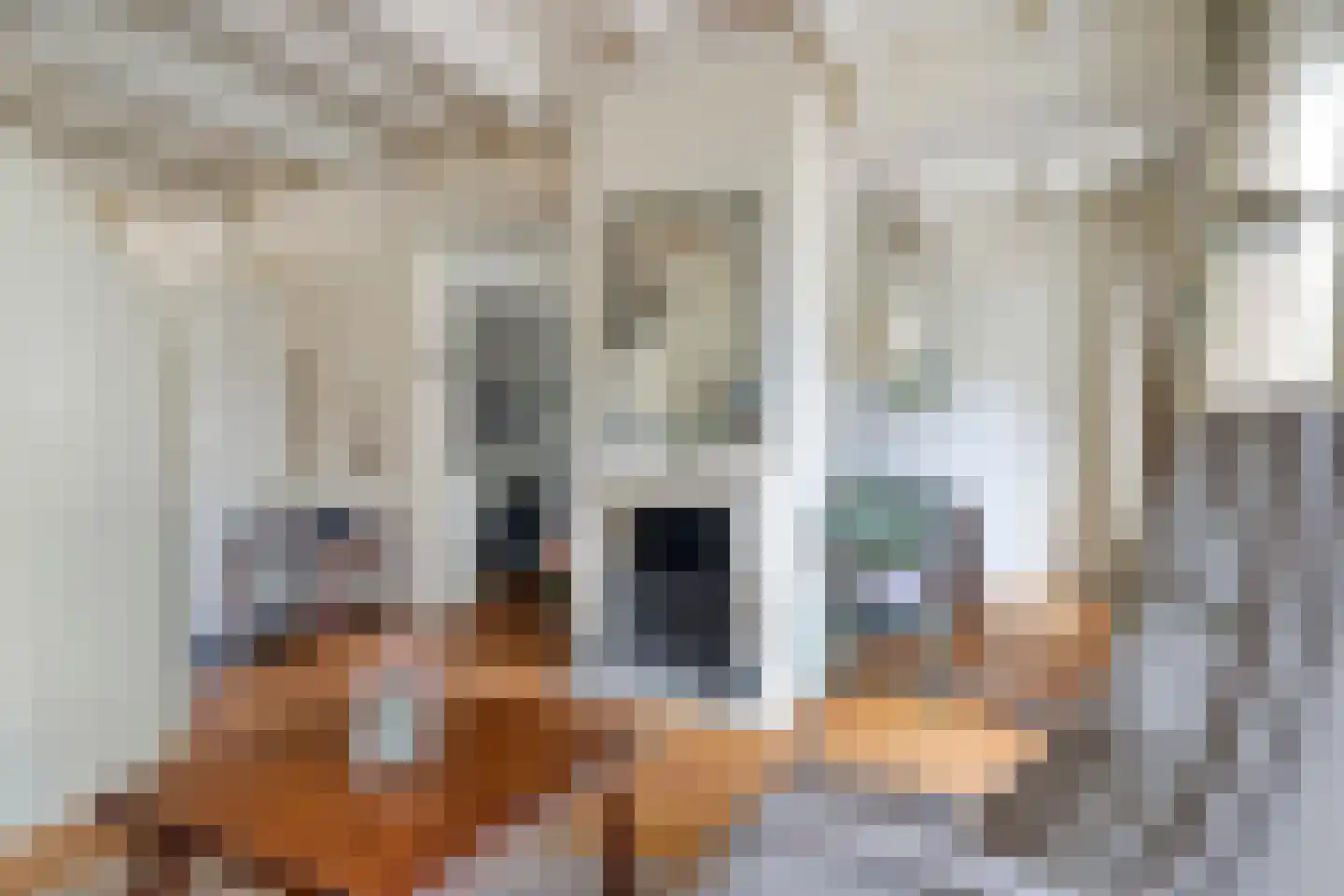 Marktstraat 39 Oudewater thumbnail 10