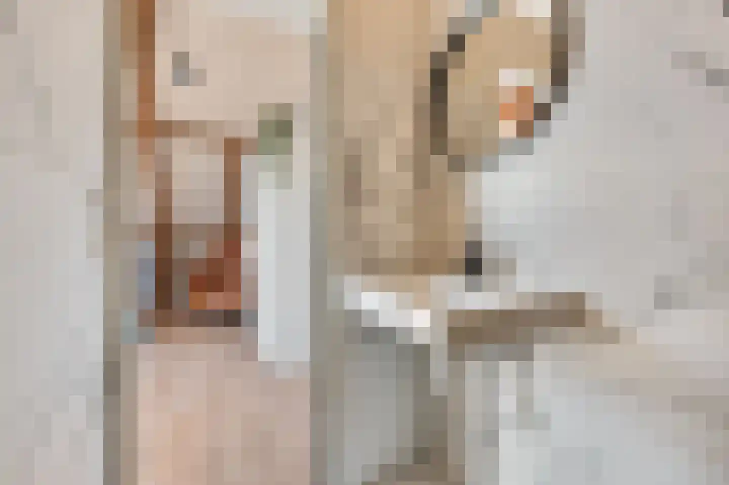 Marktstraat 4 D Wormerveer thumbnail 17