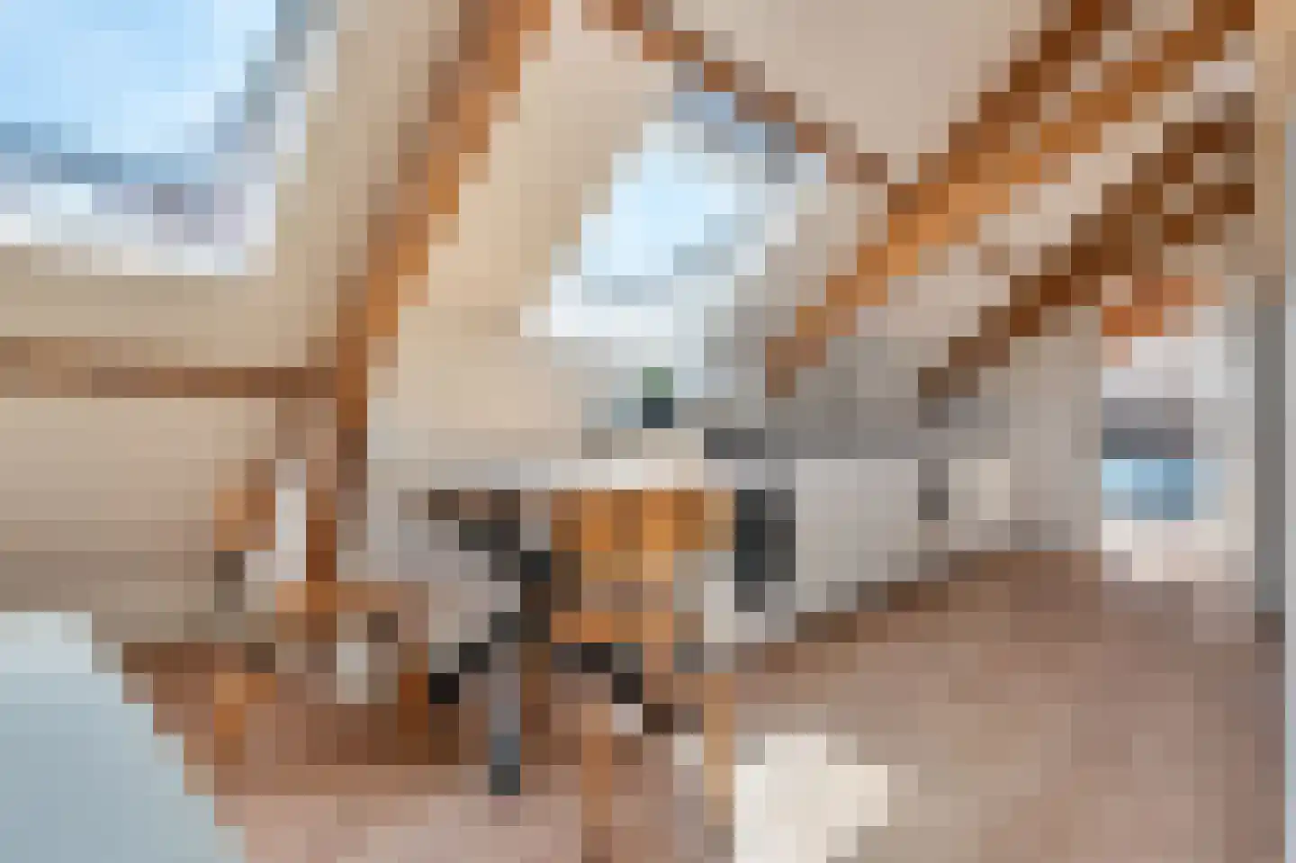 Marktstraat 4 D Wormerveer thumbnail 7