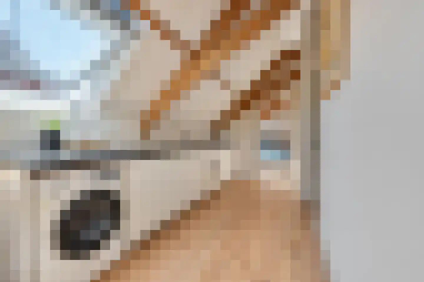 Marktstraat 4 D Wormerveer thumbnail 8