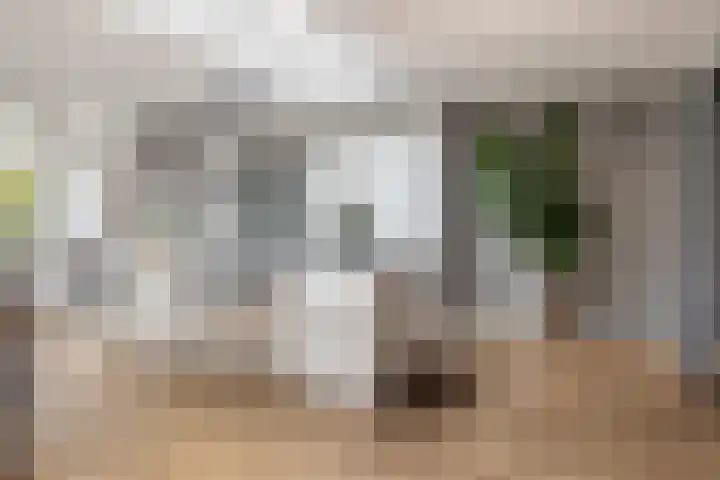Marktstraat 4 Mierlo thumbnail 16