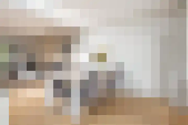 Marktstraat 4 Mierlo thumbnail 17