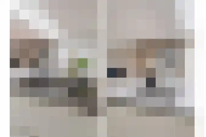Marktstraat 4 Mierlo thumbnail 20