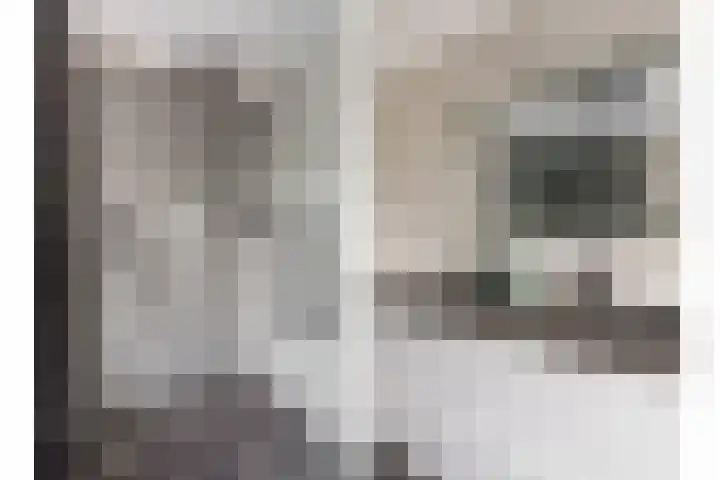 Marktstraat 4 Mierlo thumbnail 25