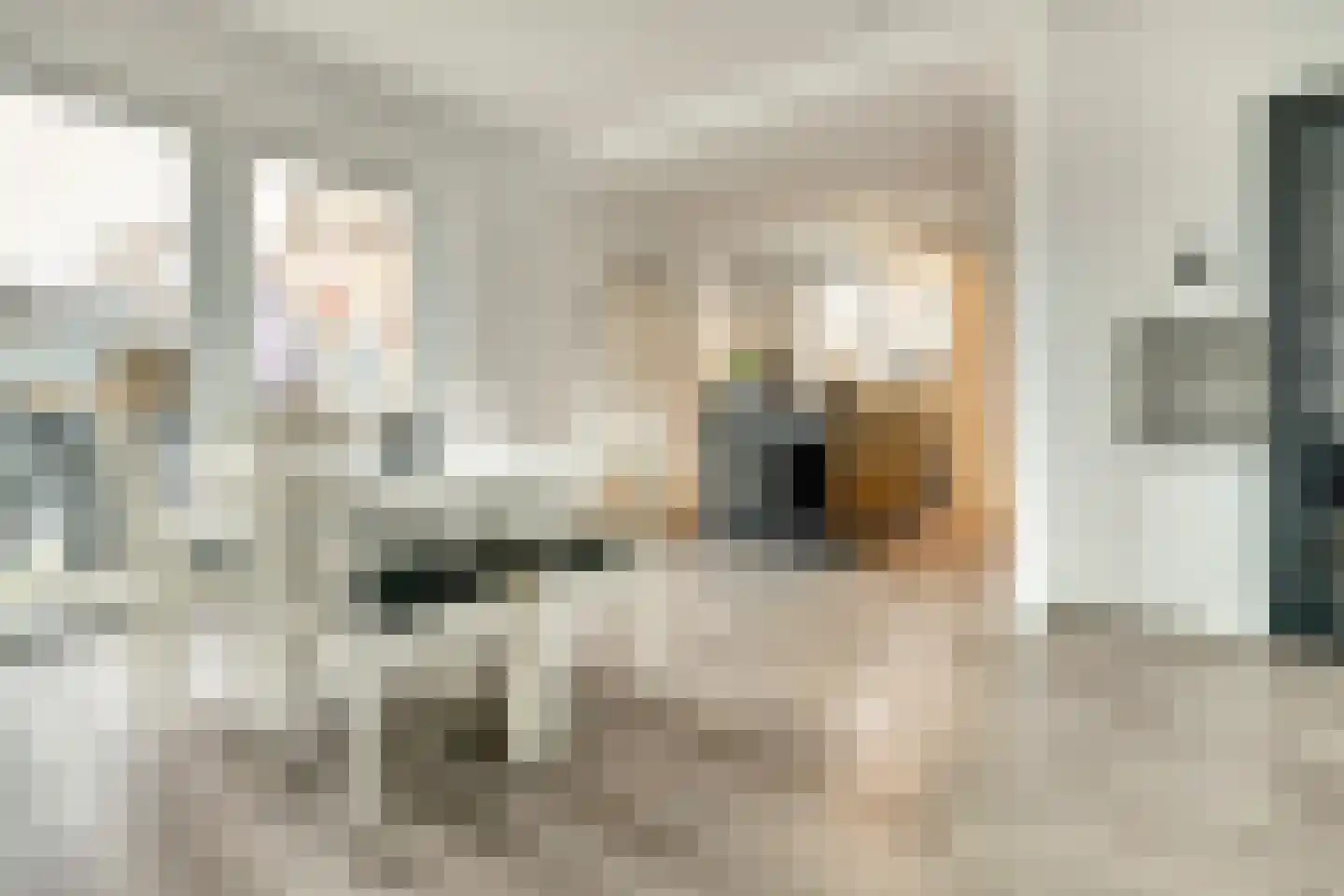 Marktstraat 4 's-Heerenhoek thumbnail 11