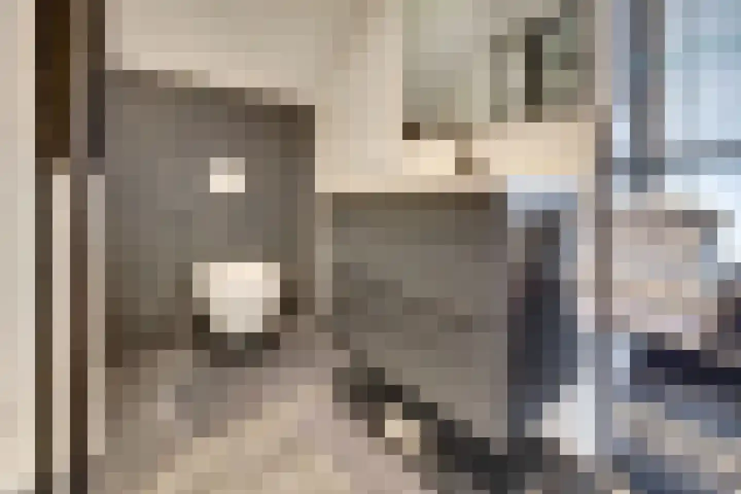 Marktstraat 4 's-Heerenhoek thumbnail 14