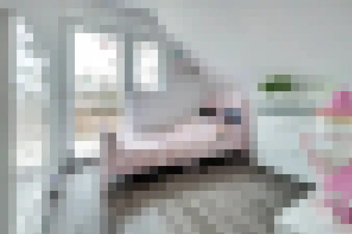 Marktstraat 4 's-Heerenhoek thumbnail 19