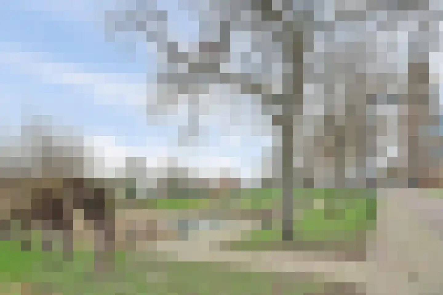 Marktstraat 4 's-Heerenhoek thumbnail 30