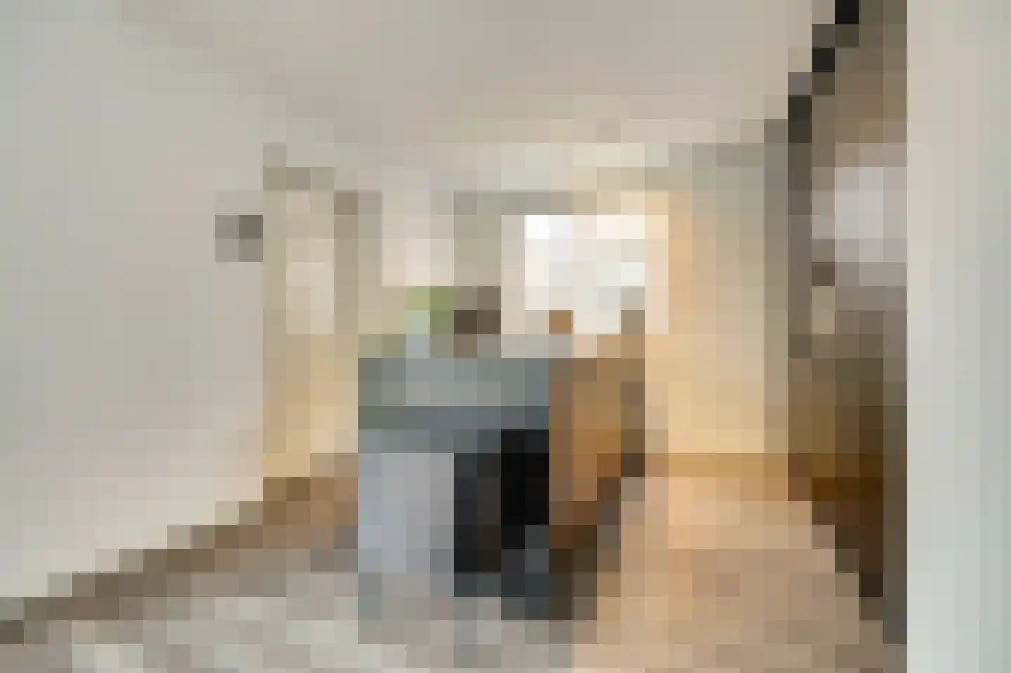 Marktstraat 4 's-Heerenhoek thumbnail 8