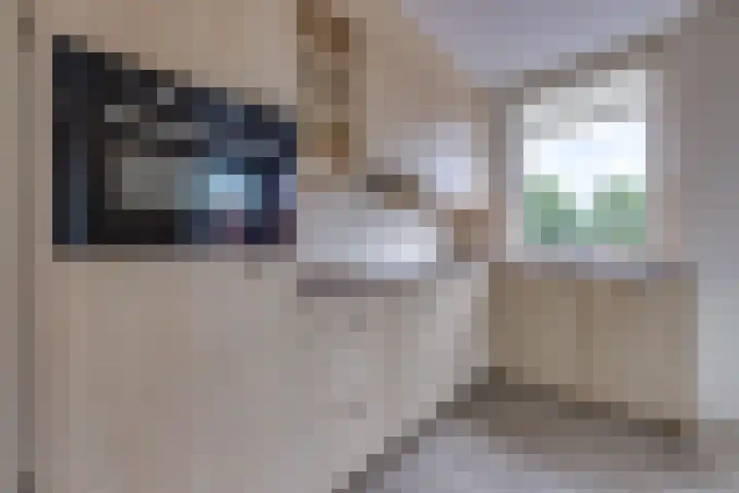 Marktstraat 4 Ter Apel thumbnail 16