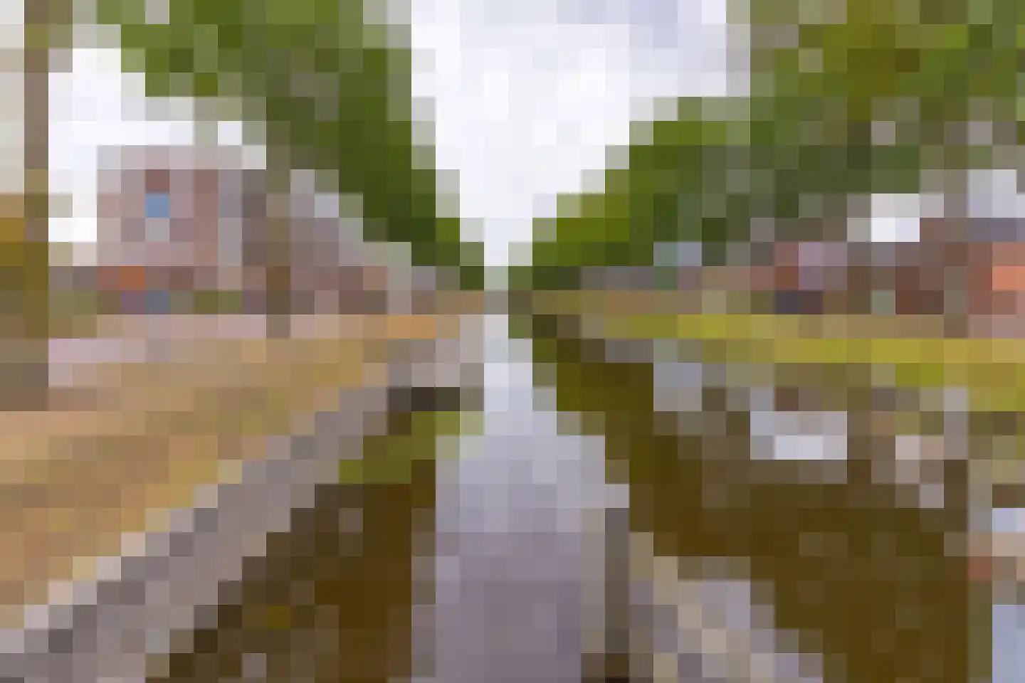 Marktstraat 4 Ter Apel thumbnail 36