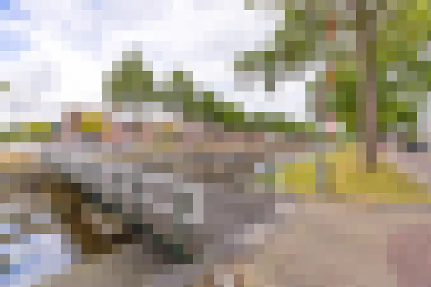 Marktstraat 4 Ter Apel thumbnail 37