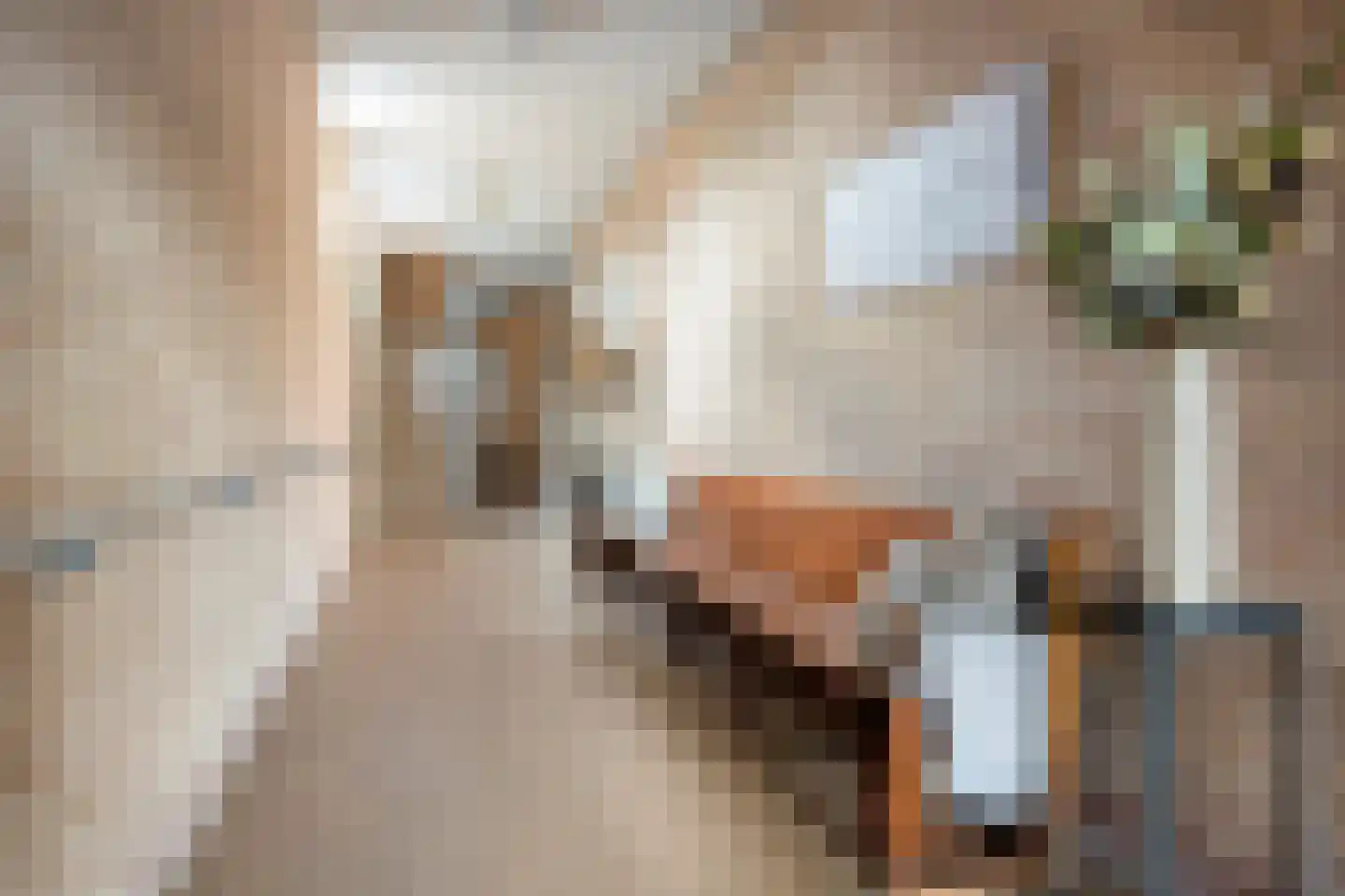 Marktstraat 40 a Scherpenzeel thumbnail 23