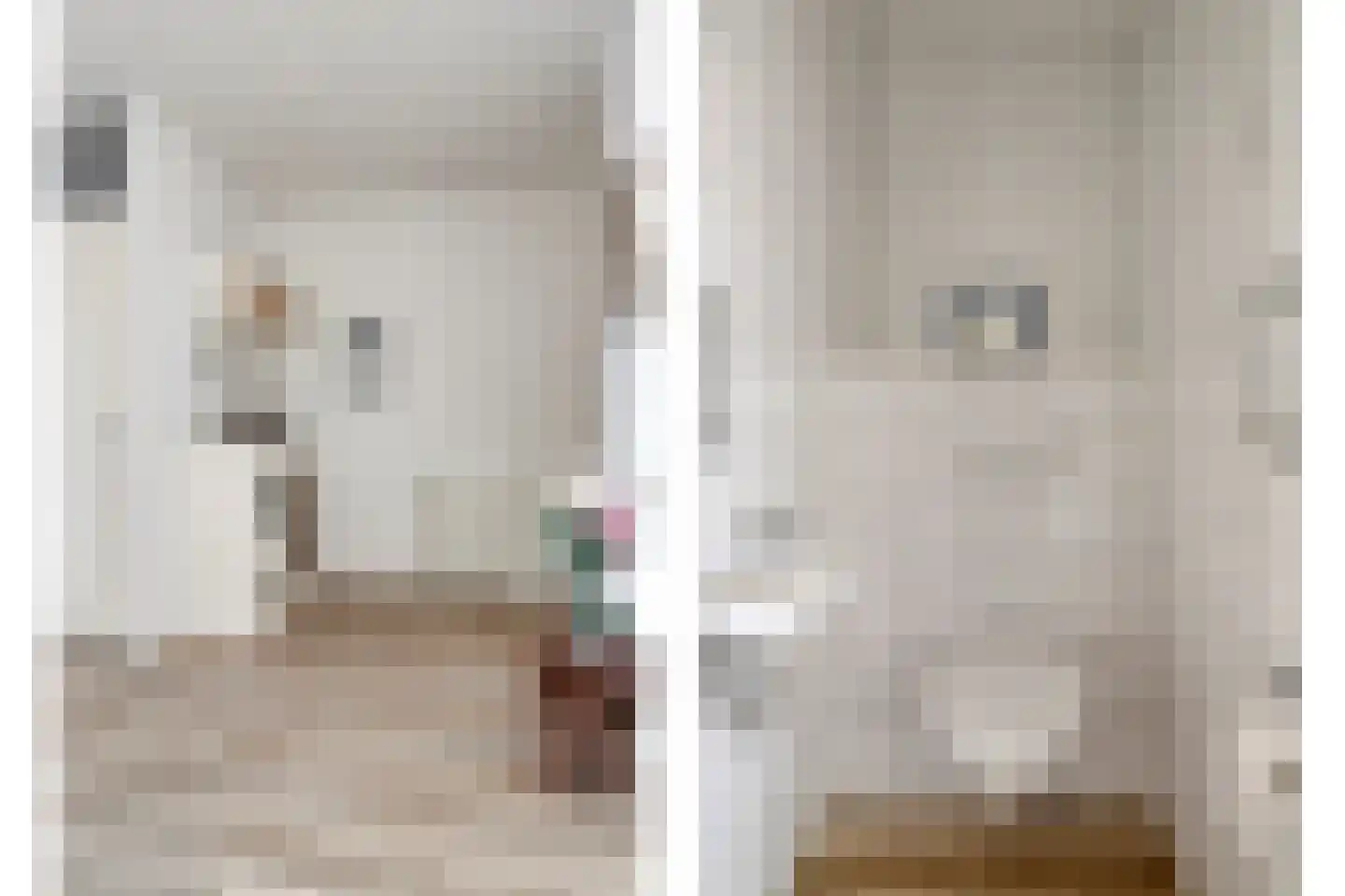 Marktstraat 40 Scherpenzeel thumbnail 11