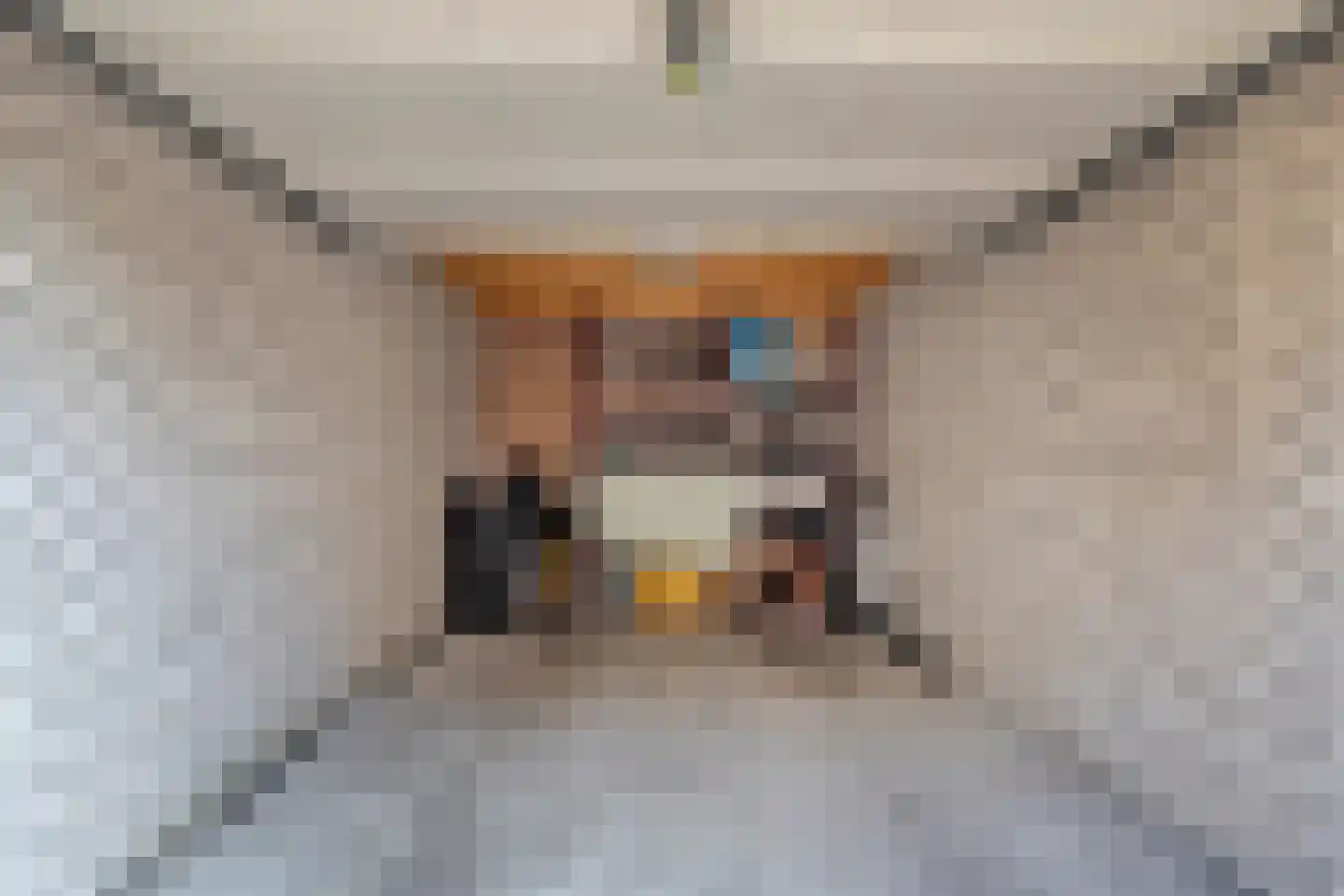 Marktstraat 40 Scherpenzeel thumbnail 18