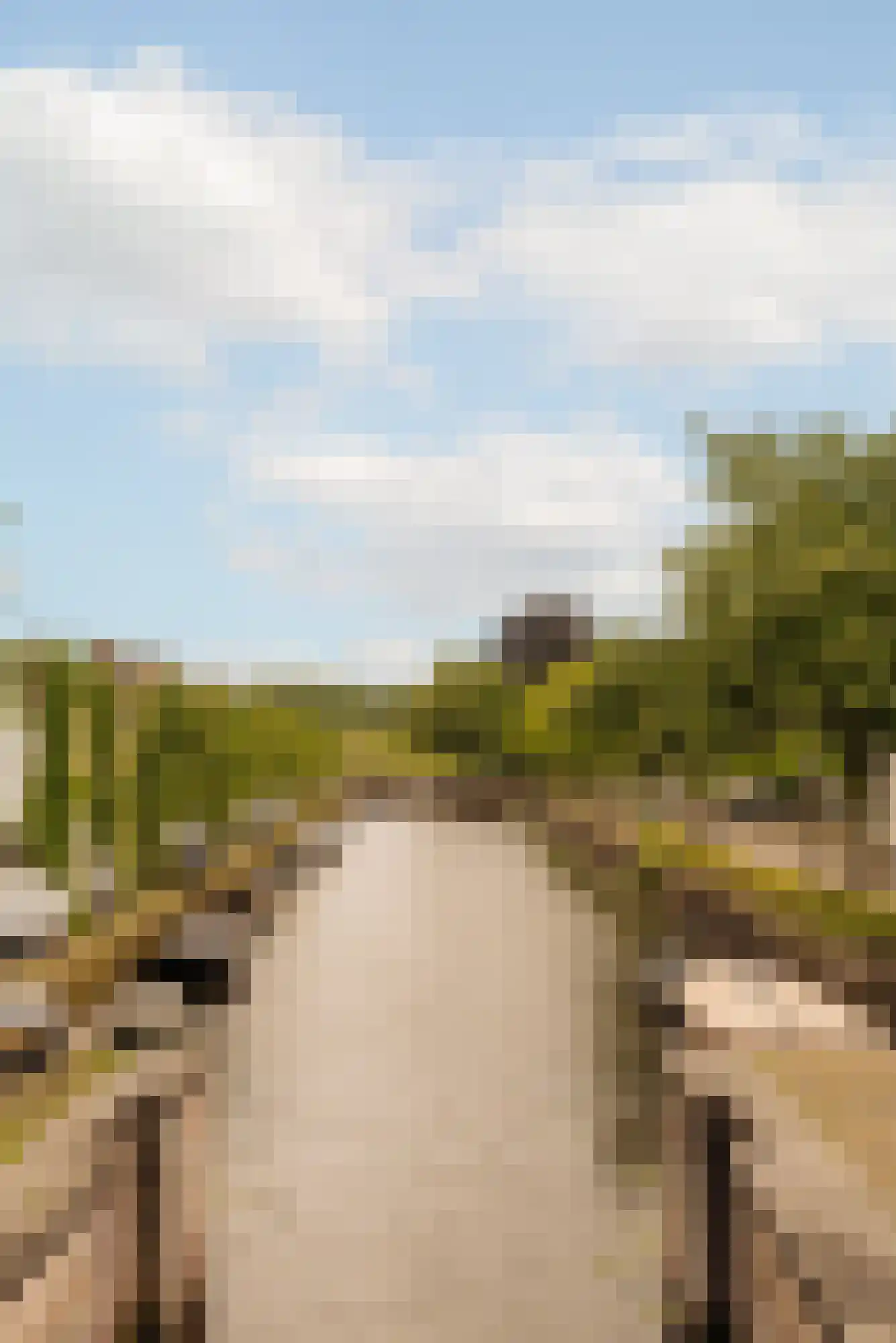 Marktstraat 49 Naarden thumbnail 12