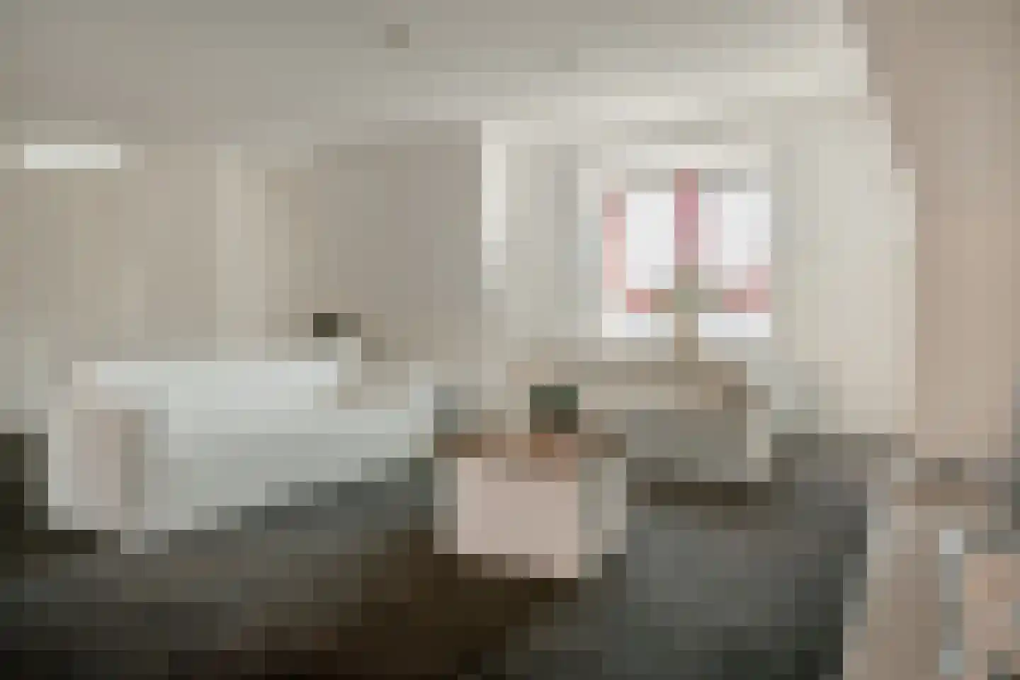 Marktstraat 5 g Wierden thumbnail 19