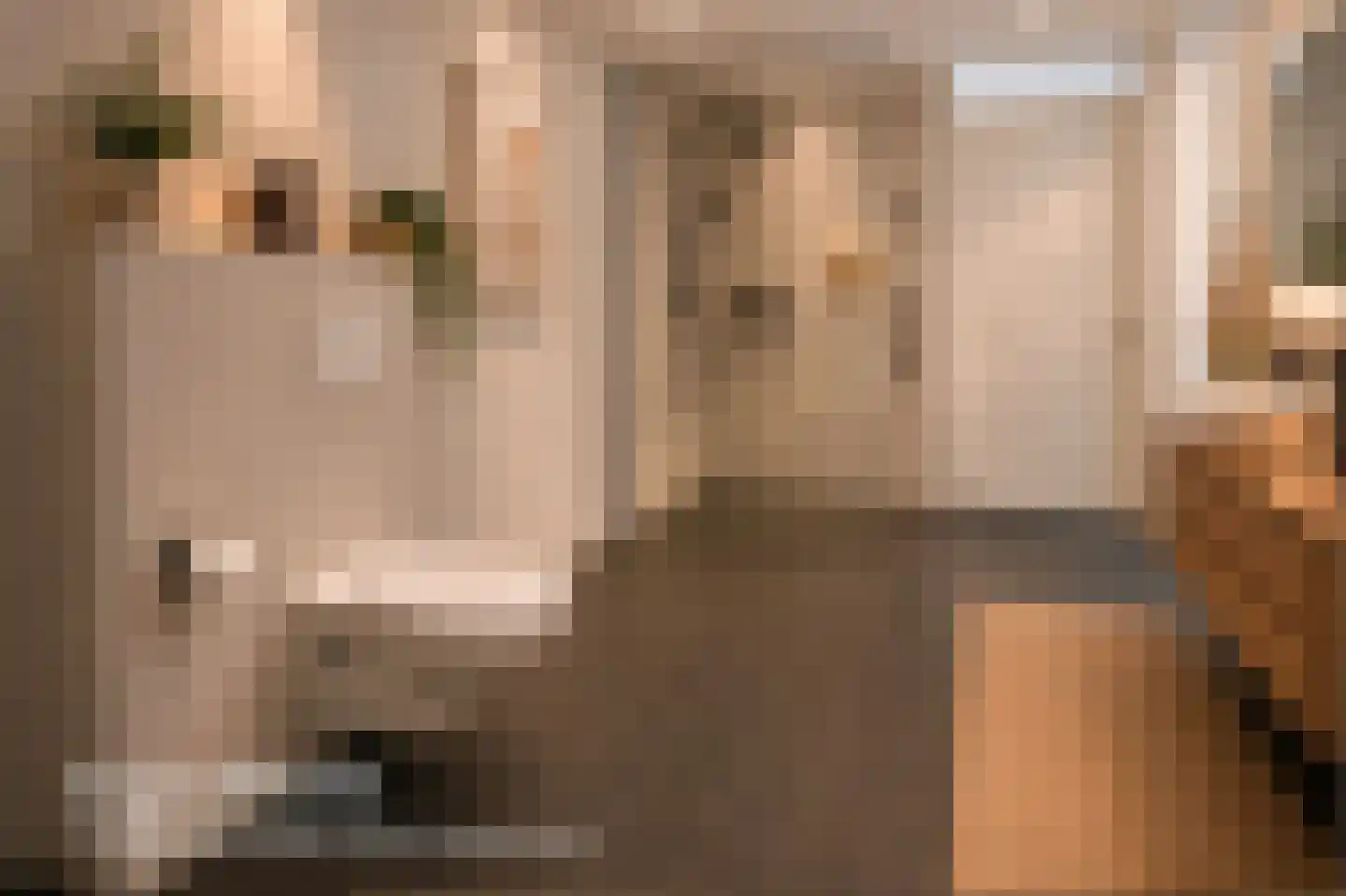 Marktstraat 5 g Wierden thumbnail 33