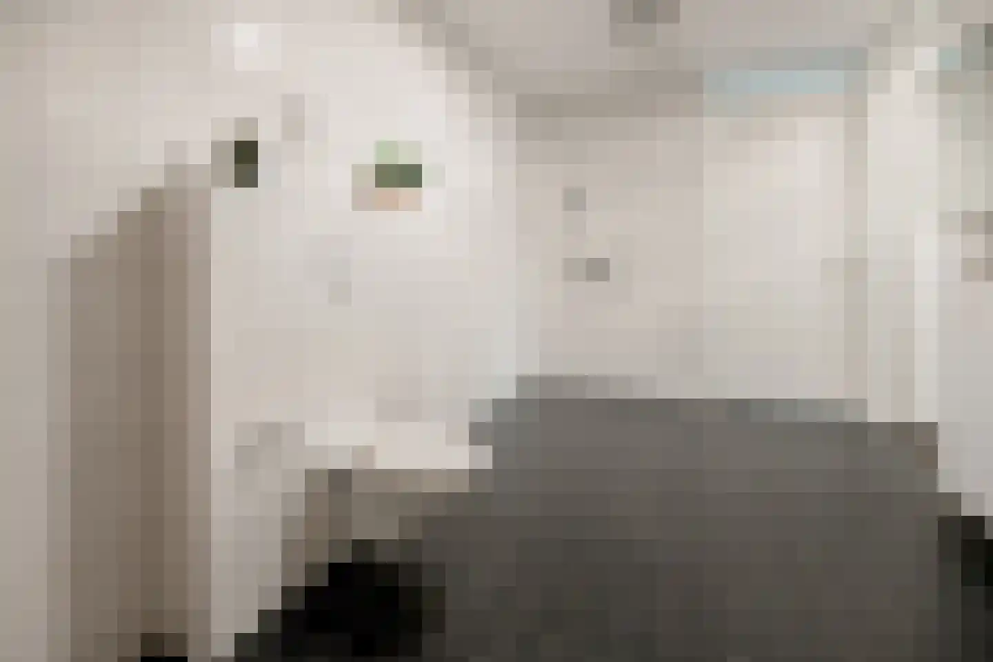 Marktstraat 5 g Wierden thumbnail 5