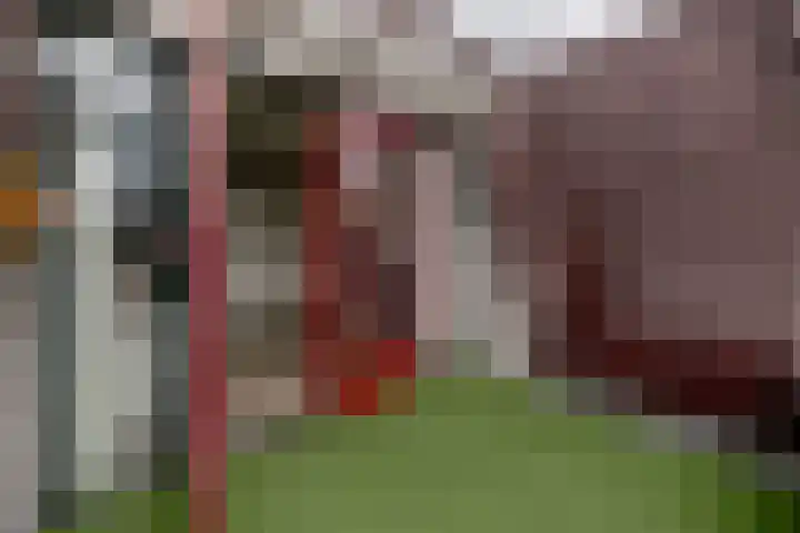 Marktstraat 5 h Wierden thumbnail 18