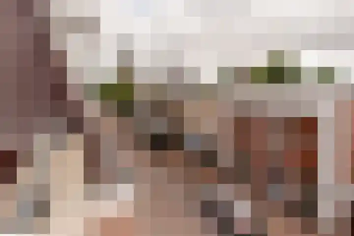 Marktstraat 5 h Wierden thumbnail 19