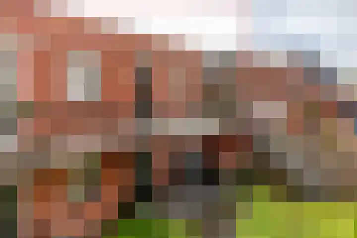 Marktstraat 5 h Wierden thumbnail 8
