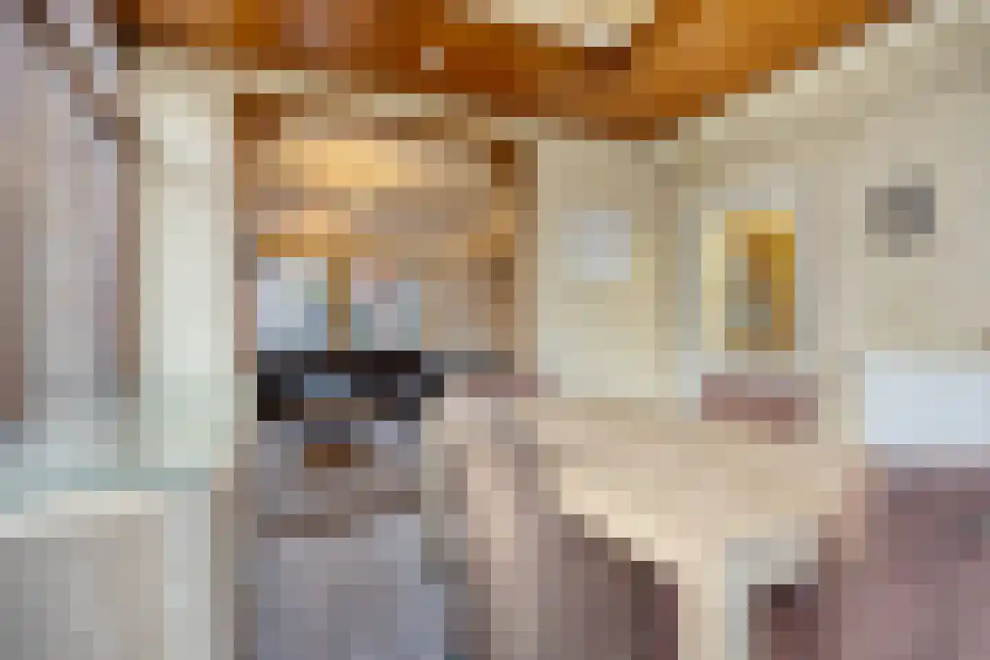Marktstraat 54 A Mierlo thumbnail 13