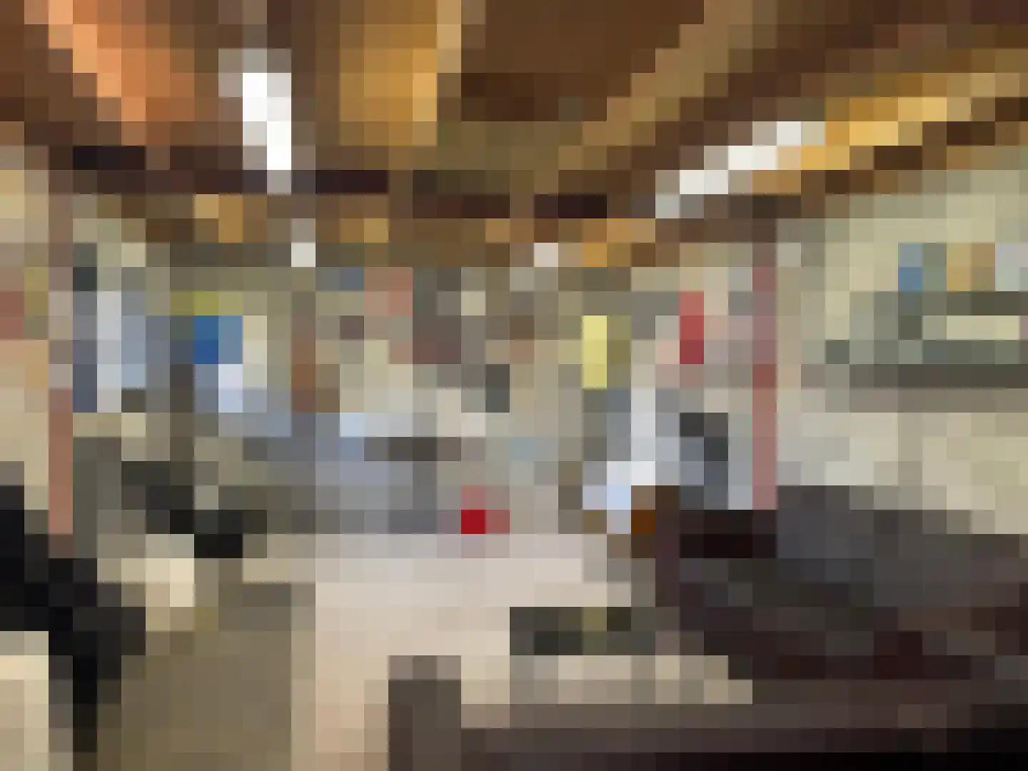Marktstraat 54 A Mierlo thumbnail 34