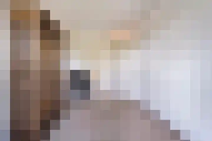 Marktstraat 54 Heino thumbnail 34