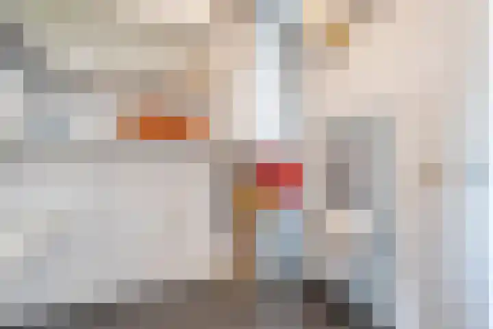 Marktstraat 54 Heino thumbnail 35