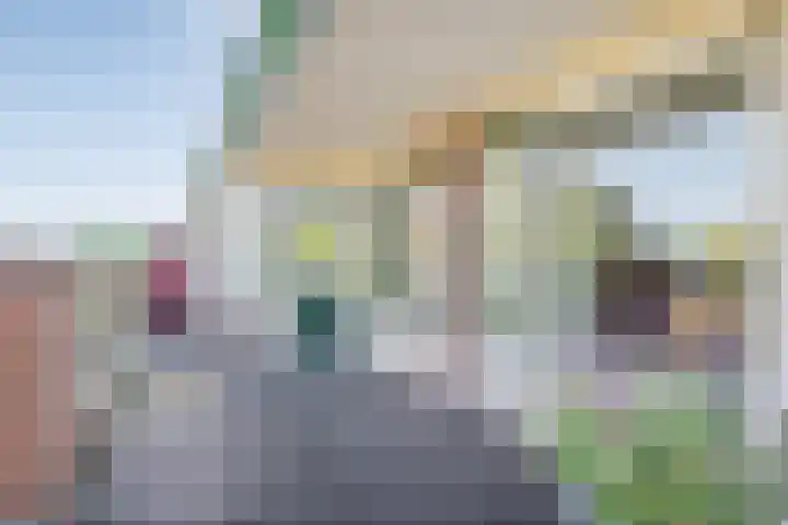 Marktstraat 54 Heino thumbnail 40